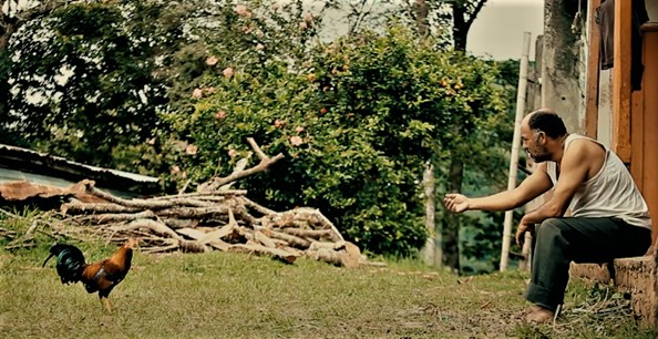 DE CRITICOS Y PELICULAS