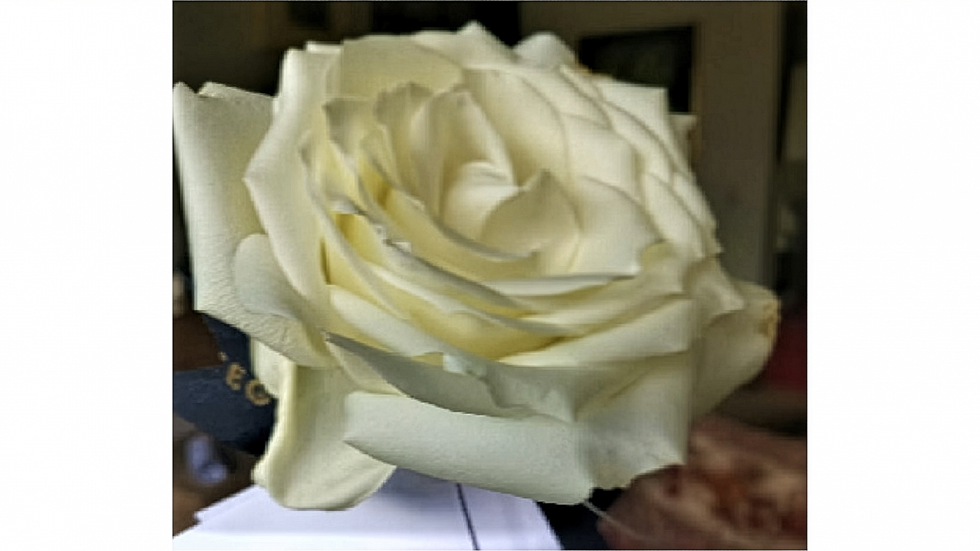 LIBROS, POSTFOTOGRAFIA, FESTIVALES, CUMPLEAÑOS, ESTRENOS